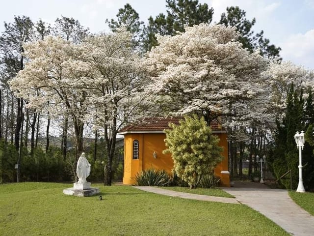 Terreno com 1635m², à venda, no bairro Esperança em Londrina