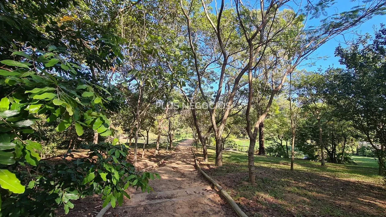 Casa, 3 quartos, 250 m² - Foto 73