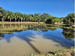 Casa, 3 quartos, 240 m² - Foto 48