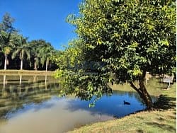 Casa, 3 quartos, 240 m² - Foto 50