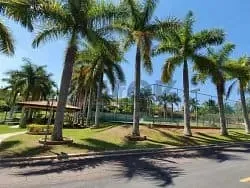 Casa, 3 quartos, 384 m² - Foto 39
