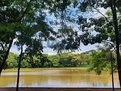 Casa, 4 quartos, 440 m² - Foto 56