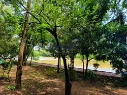 Casa, 4 quartos, 440 m² - Foto 58