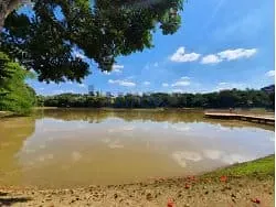Casa, 4 quartos, 440 m² - Foto 57