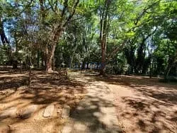 Casa, 4 quartos, 440 m² - Foto 53