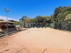 Casa, 4 quartos, 259 m² - Foto 19