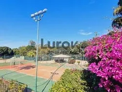 Casa, 4 quartos, 259 m² - Foto 21