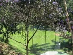Casa, 4 quartos, 1007 m² - Foto 62