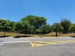 Casa, 4 quartos, 580 m² - Foto 46
