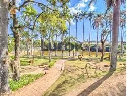 Terreno, 480 m² - Foto 4
