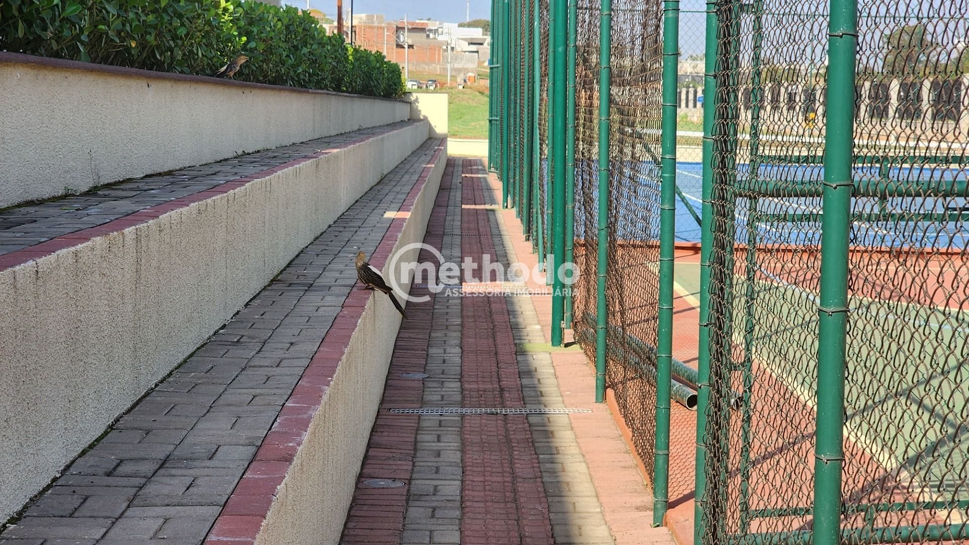 Casa, 3 quartos, 200 m² - Foto 37