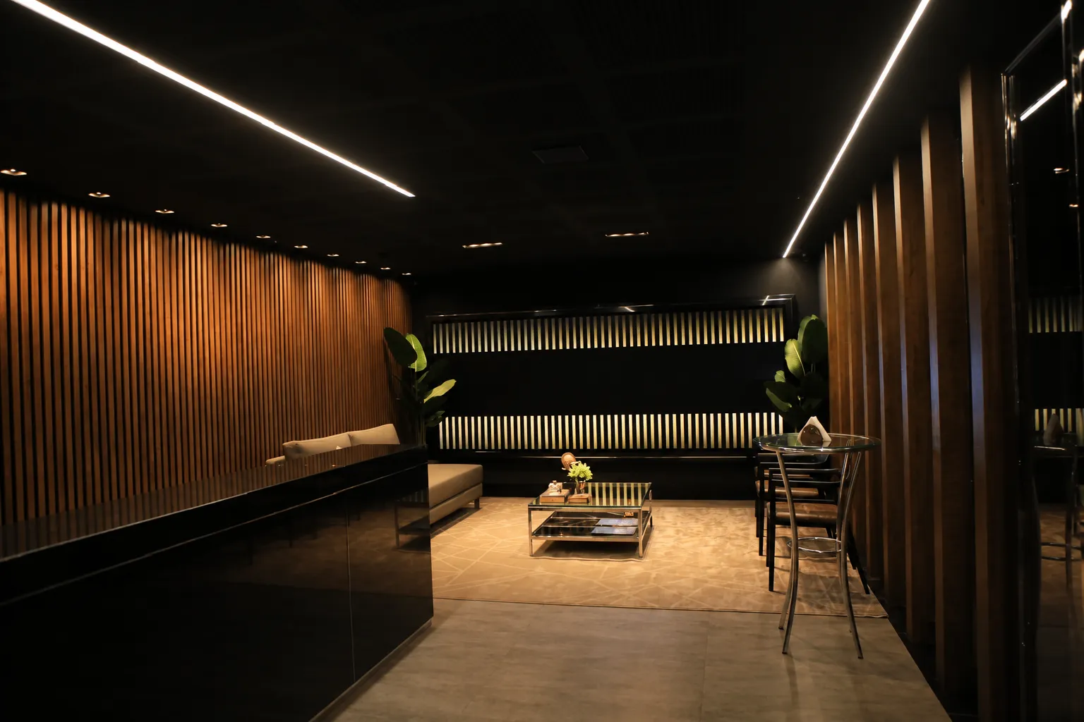Sala-Conjunto, 216 m² - Foto 2