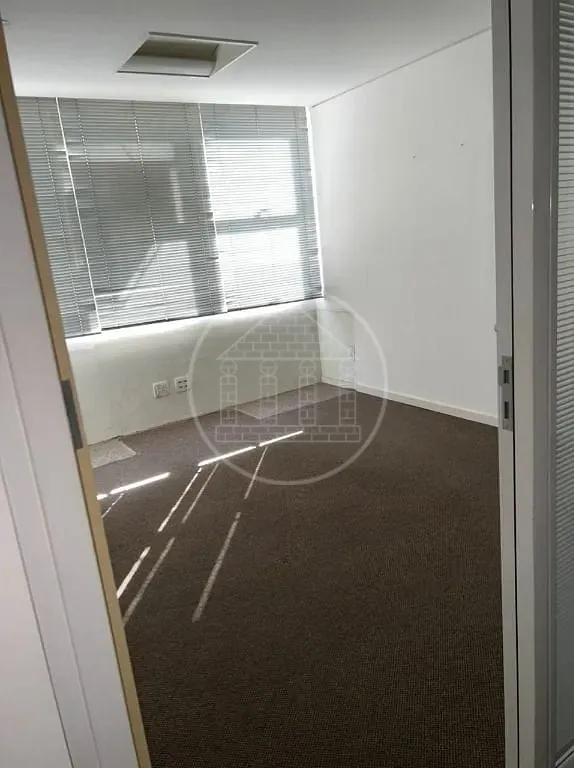 Sala-Conjunto, 301 m² - Foto 3