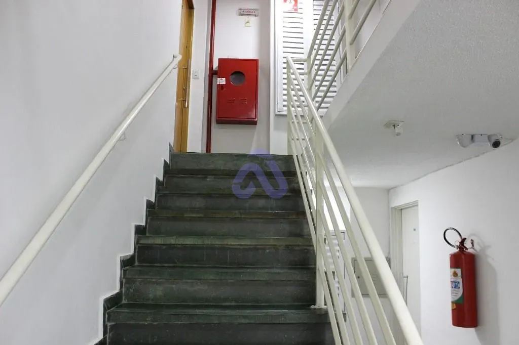 Apartamento, 3 quartos, 75 m² - Foto 22