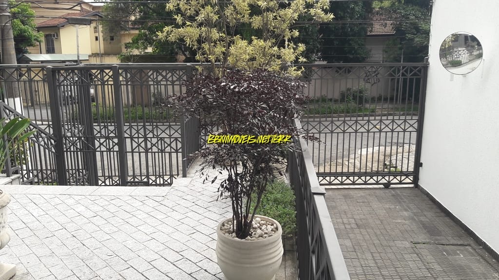 Apartamento, 3 quartos, 260 m² - Foto 45