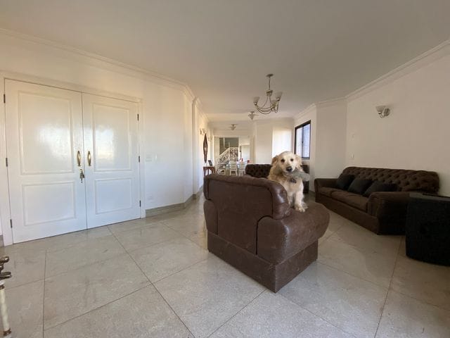 Apartamento com 280m² 4 quartos e 4 banheiros, à venda, no bairro Zona 03 em Maringá