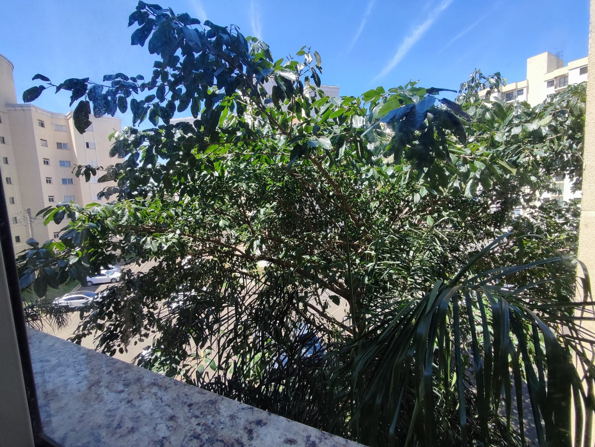 Apartamento, 2 quartos, 55 m² - Foto 5