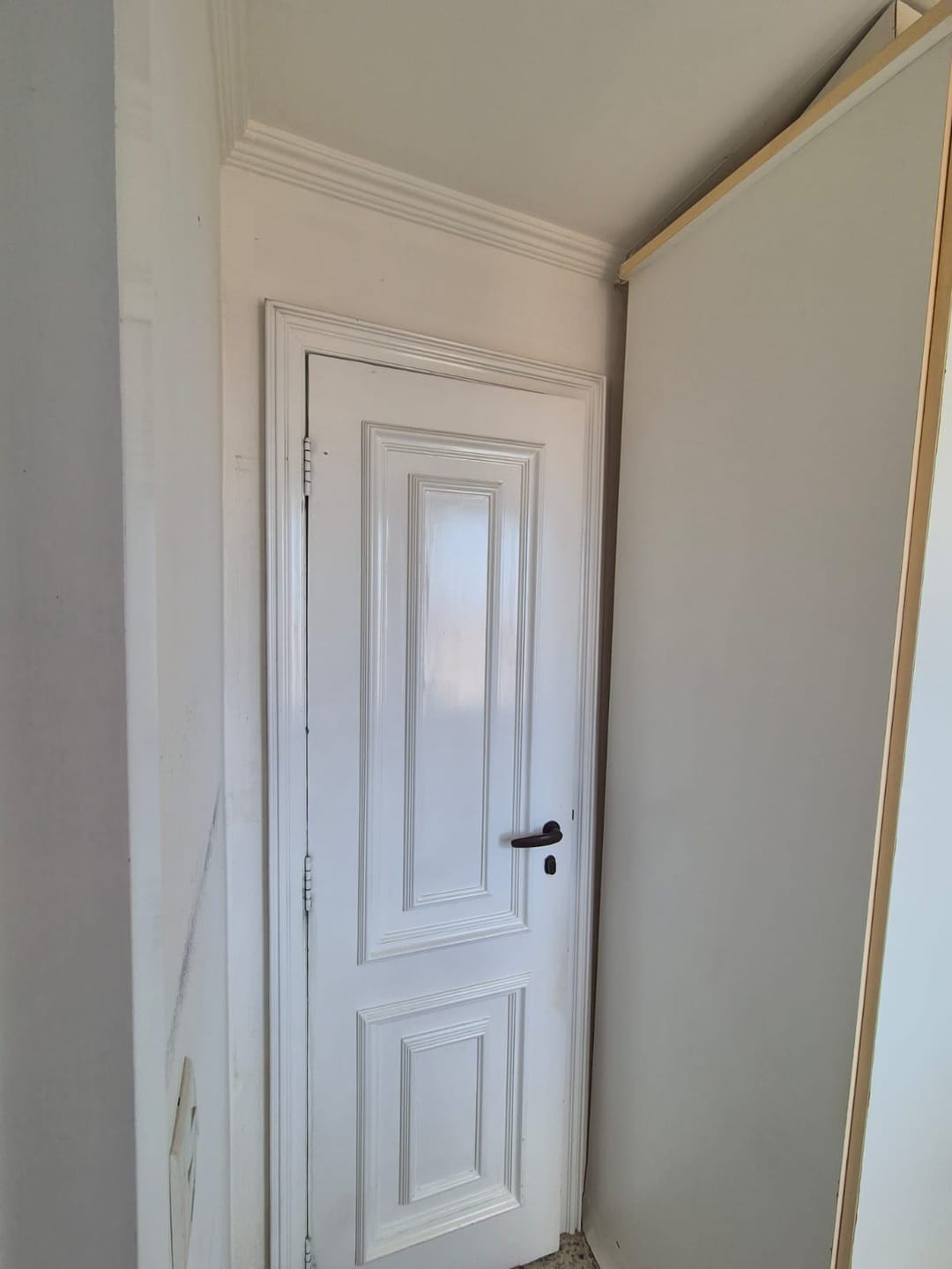 Apartamento, 3 quartos, 243 m² - Foto 41