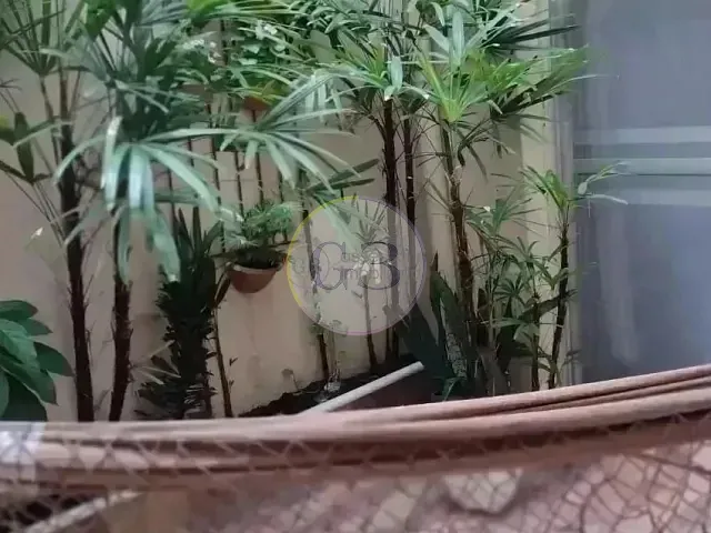 Apartamento 2 quartos e 1 banheiro, à venda, no bairro Centro em Pelotas