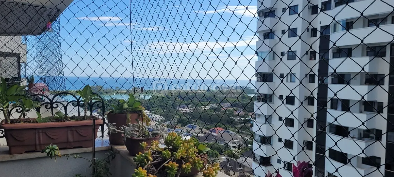 Apartamento, 3 quartos, 81 m² - Foto 10