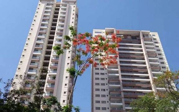https://static.arboimoveis.com.br/AP0008_JC/apartamentoavendapalmeirasnovaiguacurj_1631131589129.jpeg