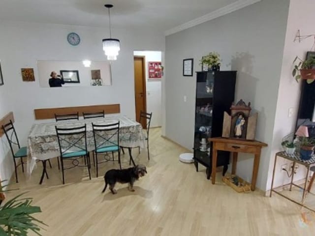Apartamento 3 quartos e 2 banheiros, à venda, no bairro Vila Eldízia em Santo André
