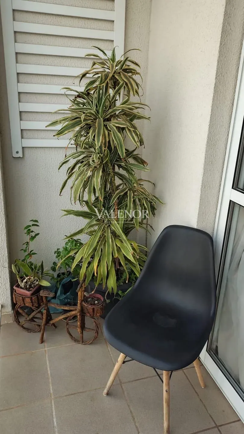 Apartamento, 3 quartos, 71 m² - Foto 25