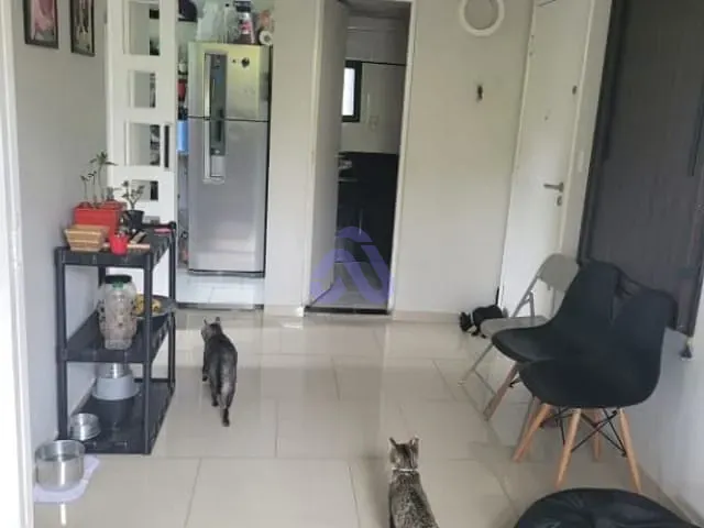 Apartamento 2 quartos e 1 banheiro, à venda, no bairro Jardim Dayse em Ferraz de Vasconcelos