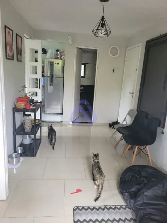 Apartamento, 2 quartos, 39 m² - Foto 1
