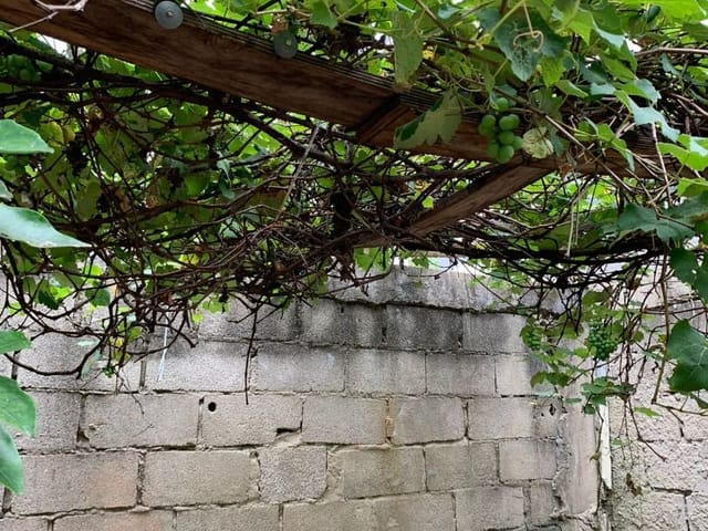 Apartamento 2 quartos e 1 banheiro, à venda, no bairro Bandeirantes em Juiz de Fora