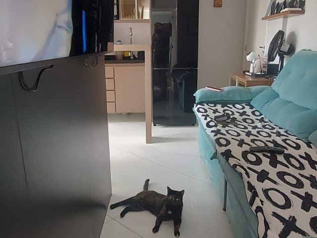 Apartamento 2 quartos e 1 banheiro, à venda, no bairro Parque Erasmo Assunção em Santo André