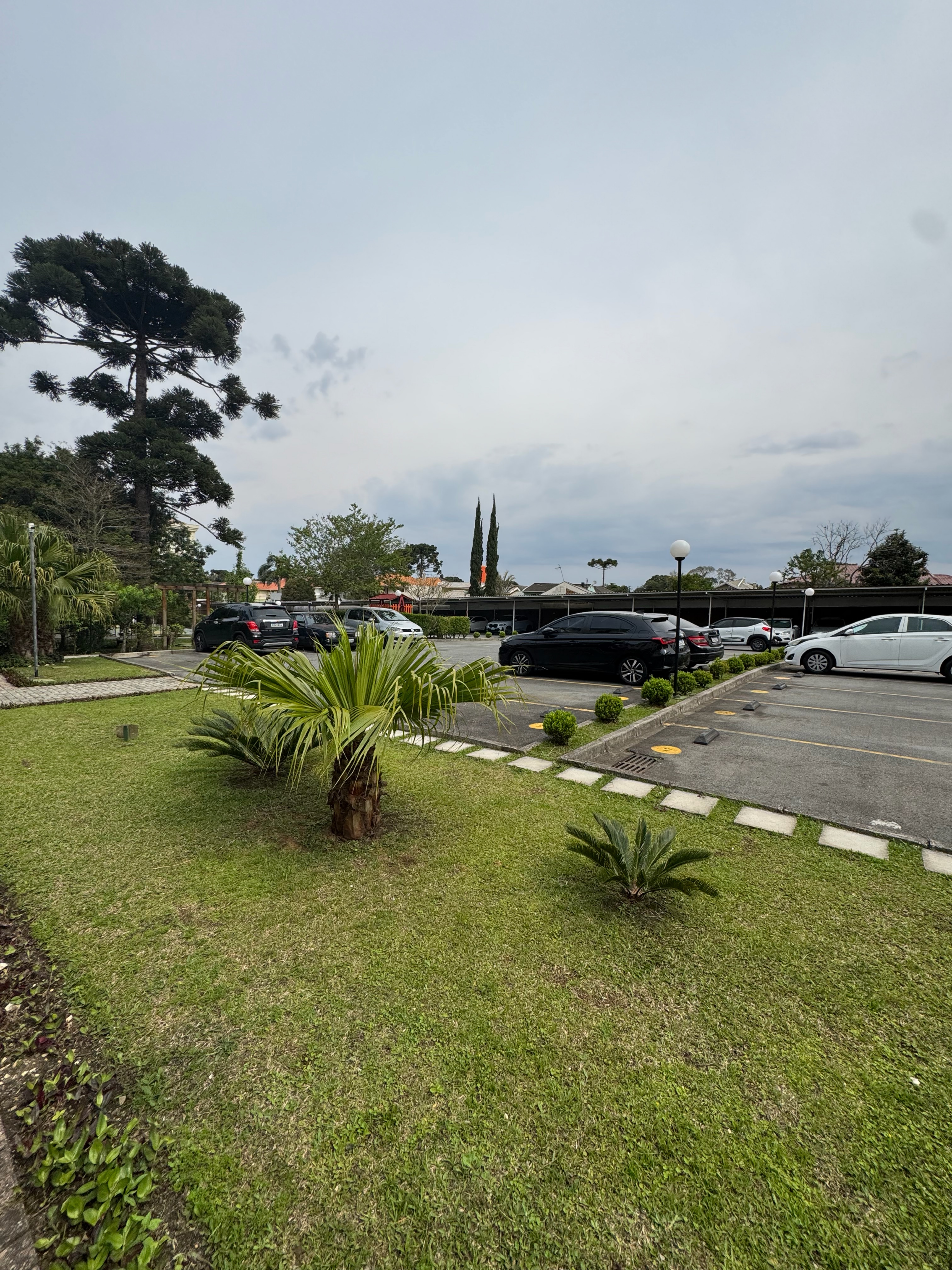 Apartamento, 3 quartos, 66 m² - Foto 79