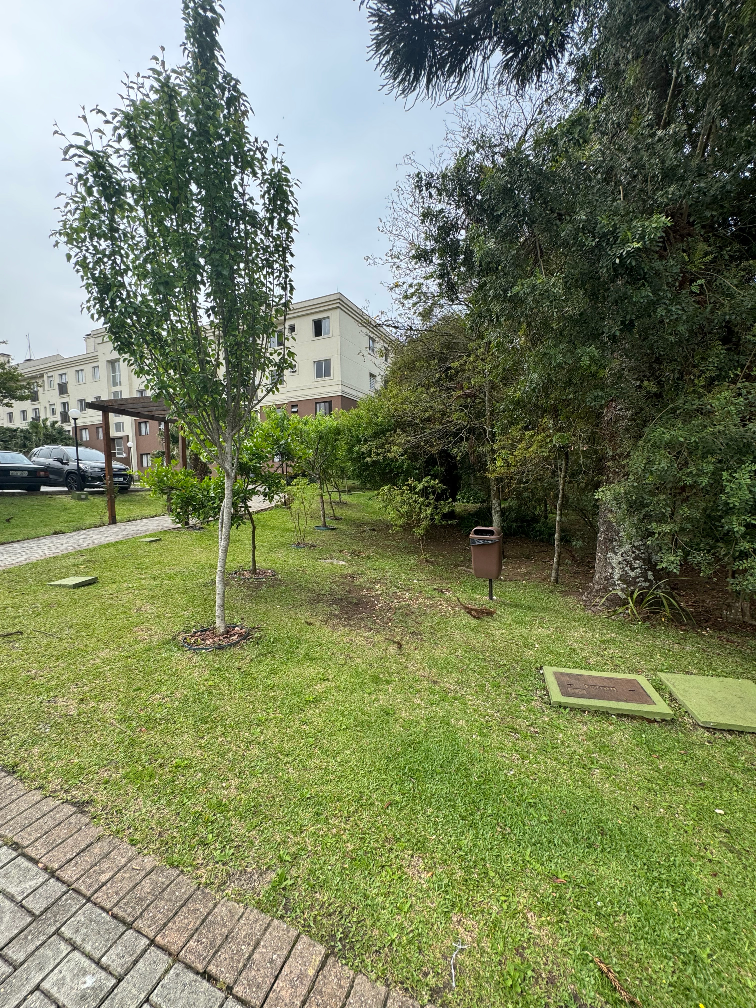 Apartamento, 3 quartos, 66 m² - Foto 76