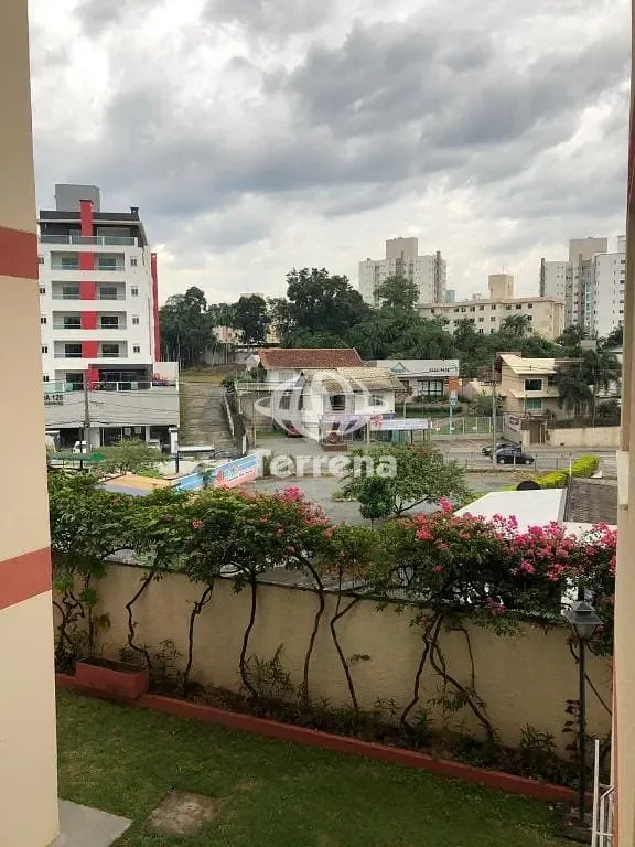 Apartamento para alugar - Velha - Blumenau/SC — foto 5
