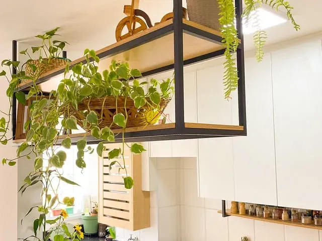 Apartamento 2 quartos e 1 banheiro, à venda, no bairro Cidade Ademar em São Paulo