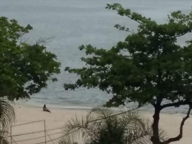 Foto do Apartamento - Praia Frente Mar LUXO Junto a Praça do antigo cine Icaraí | ABIDON NAZARETH IMÓVEIS