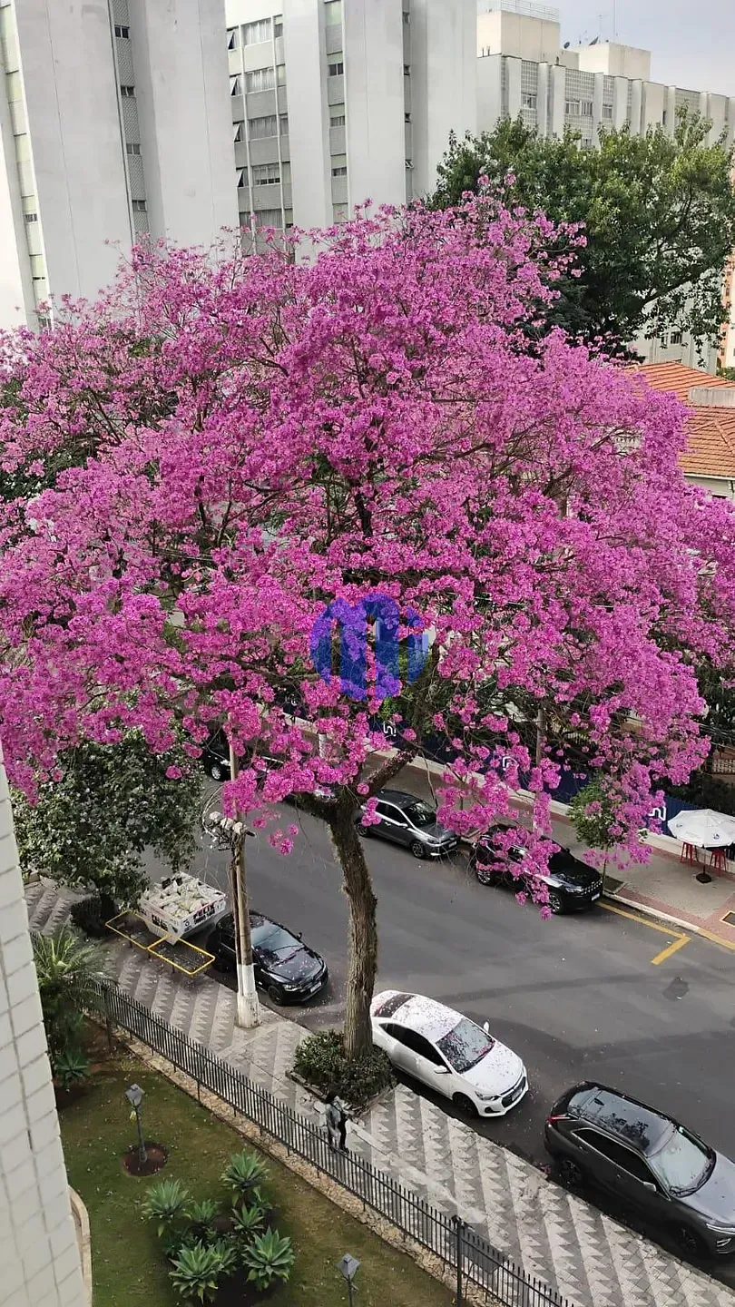 Apartamento, 3 quartos, 109 m² - Foto 9