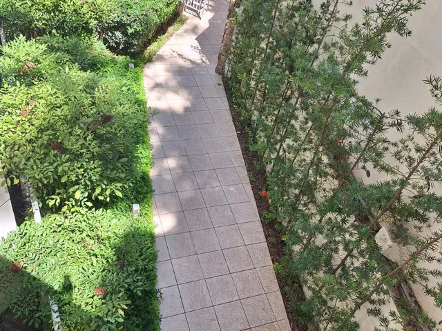 Foto do Apartamento - Excelente apartamento próximo a Praia de Icaraí para locação, Icaraí, Niterói, RJ | JB Imóveis Ltda