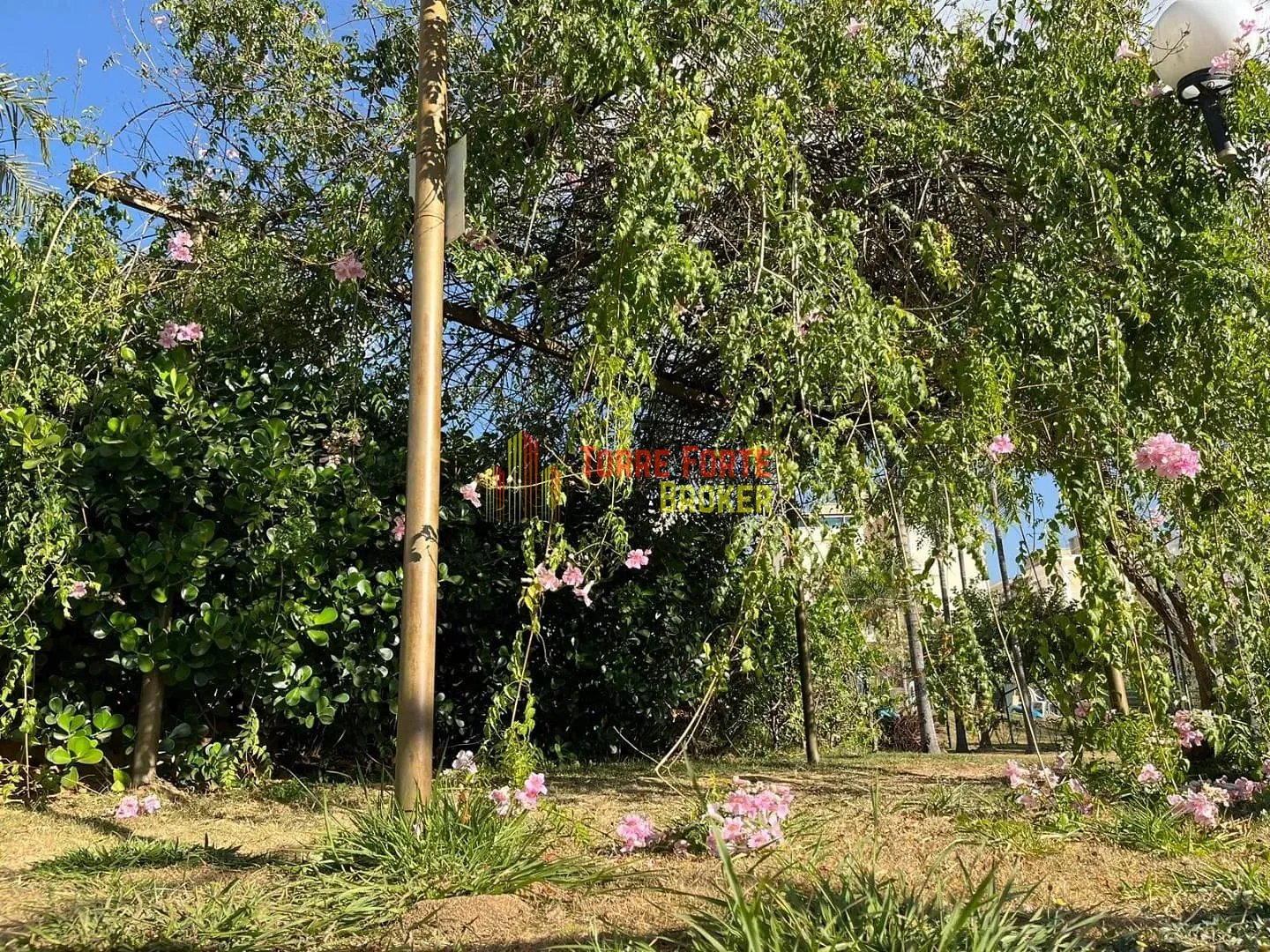 Apartamento, 2 quartos, 48 m² - Foto 19