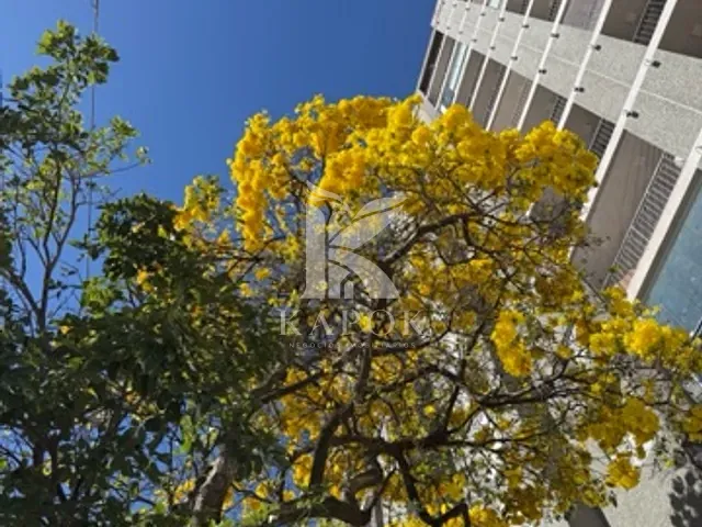Apartamento com 56m² 2 quartos e 2 banheiros, à venda, no bairro Chácara Bela Vista em Sumaré