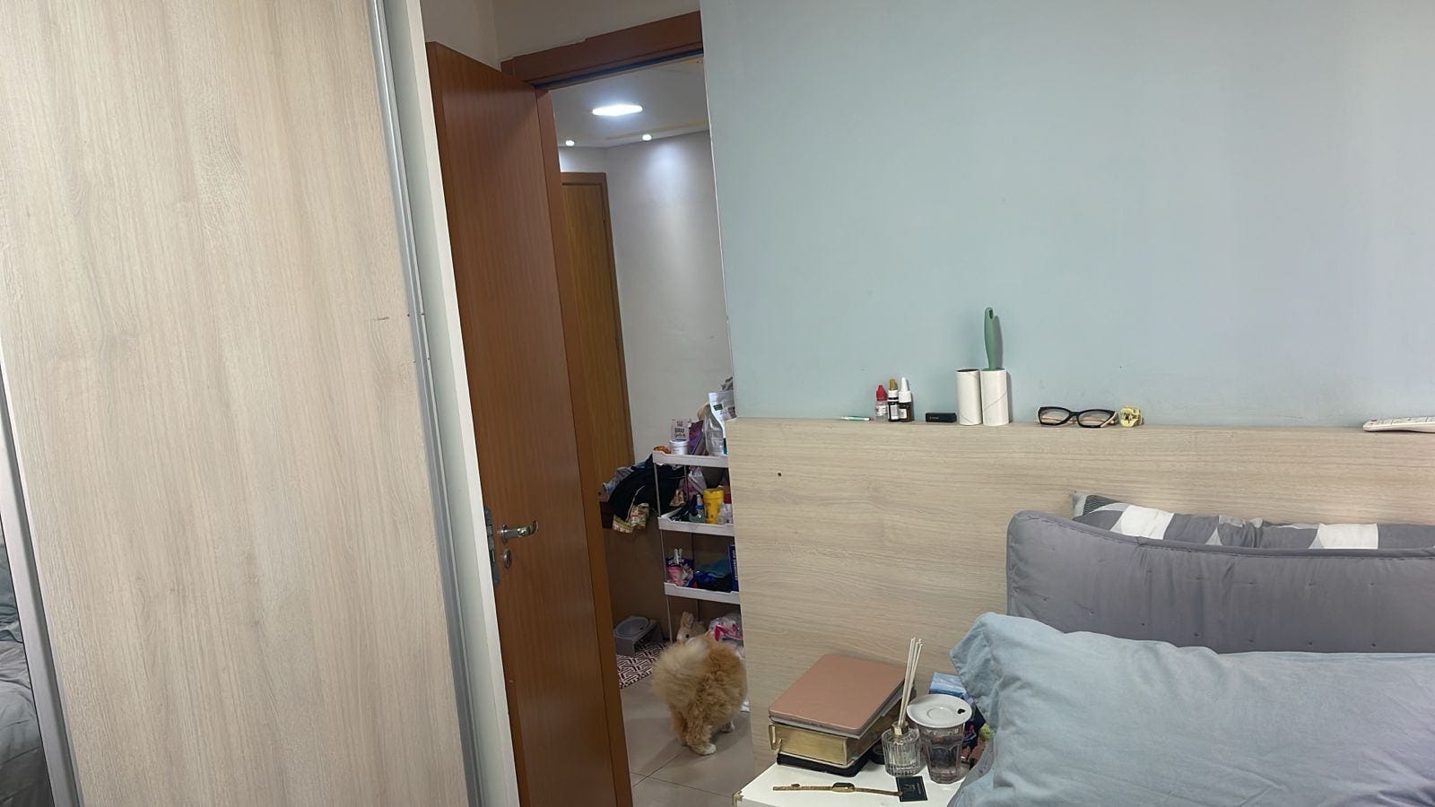 Apartamento à venda com 2 quartos, 47m² - Foto 11