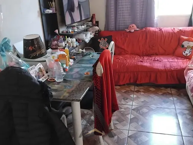 Apartamento 2 quartos e 1 banheiro, à venda, no bairro Jardim Bartira em São Paulo