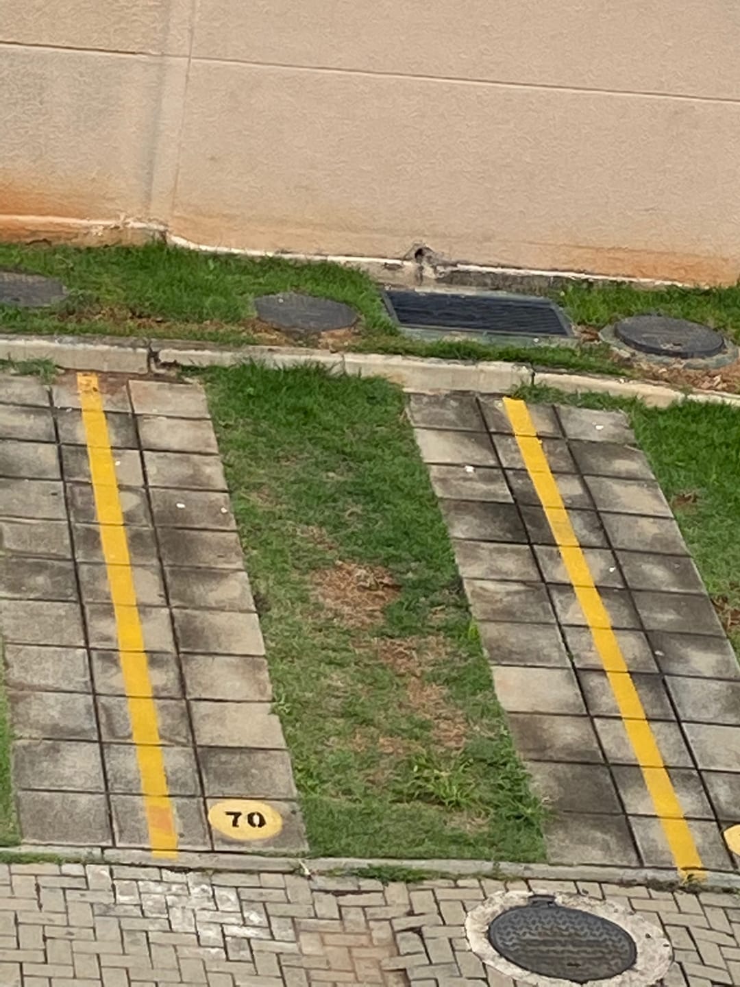 Apartamento, 3 quartos, 60 m² - Foto 2