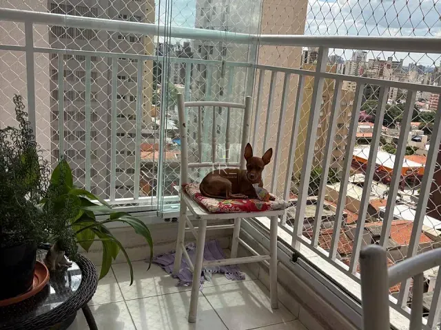 Apartamento 2 quartos e 2 banheiros, à venda, no bairro Bosque em Campinas