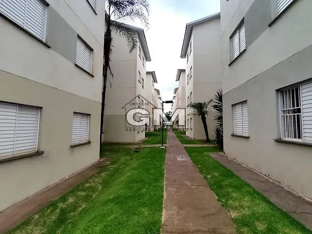 Apartamento 2 quartos e 1 banheiro, à venda, no bairro Quintino Facci II em Ribeirão Preto