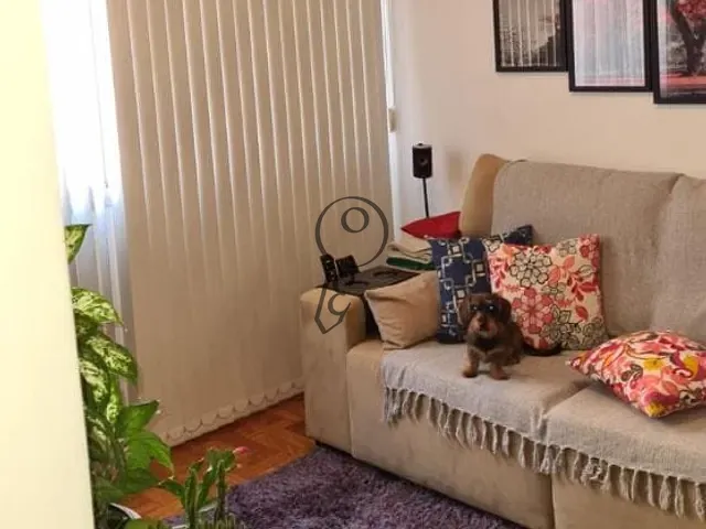 Apartamento com 62m² 2 quartos e 1 banheiro, à venda, no bairro Vila Dom Pedro I em São Paulo