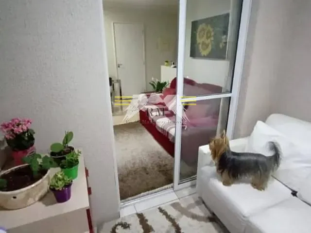 Apartamento 2 quartos e 1 banheiro, à venda, no bairro Vila Antonieta em São Paulo
