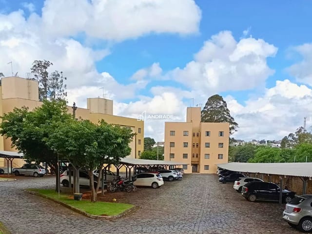 Apartamento 3 quartos e 1 banheiro, à venda, no bairro Núcleo Habitacional Papa João Paulo I em Apucarana