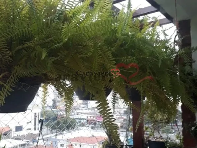 Cobertura / Penthouse 3 quartos e 2 banheiros, à venda, no bairro Jardim São Paulo em Guarulhos