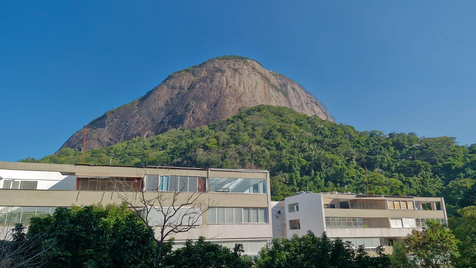 Apartamento à venda com 2 quartos, 109m² - Foto 6